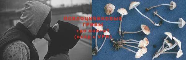 ешки Володарск