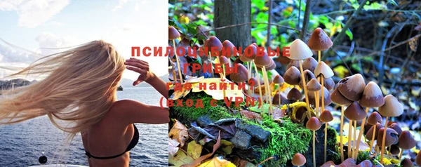 ешки Володарск