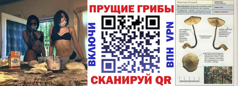 Галлюциногенные грибы MAGIC MUSHROOMS Касли